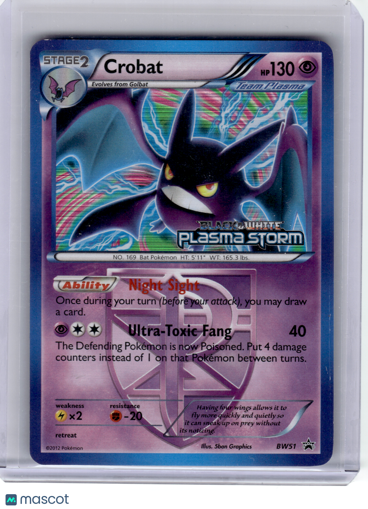 2012 Pokemon—Crobat #BW51 Team Plasma—Black Star Promo Holo [HP] (Stamped)