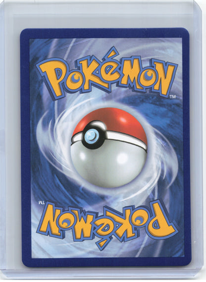 2021 Pokemon—Pikachu V-Union #SWSH144 Sword & Shield Promo Cards—(Set of 4)