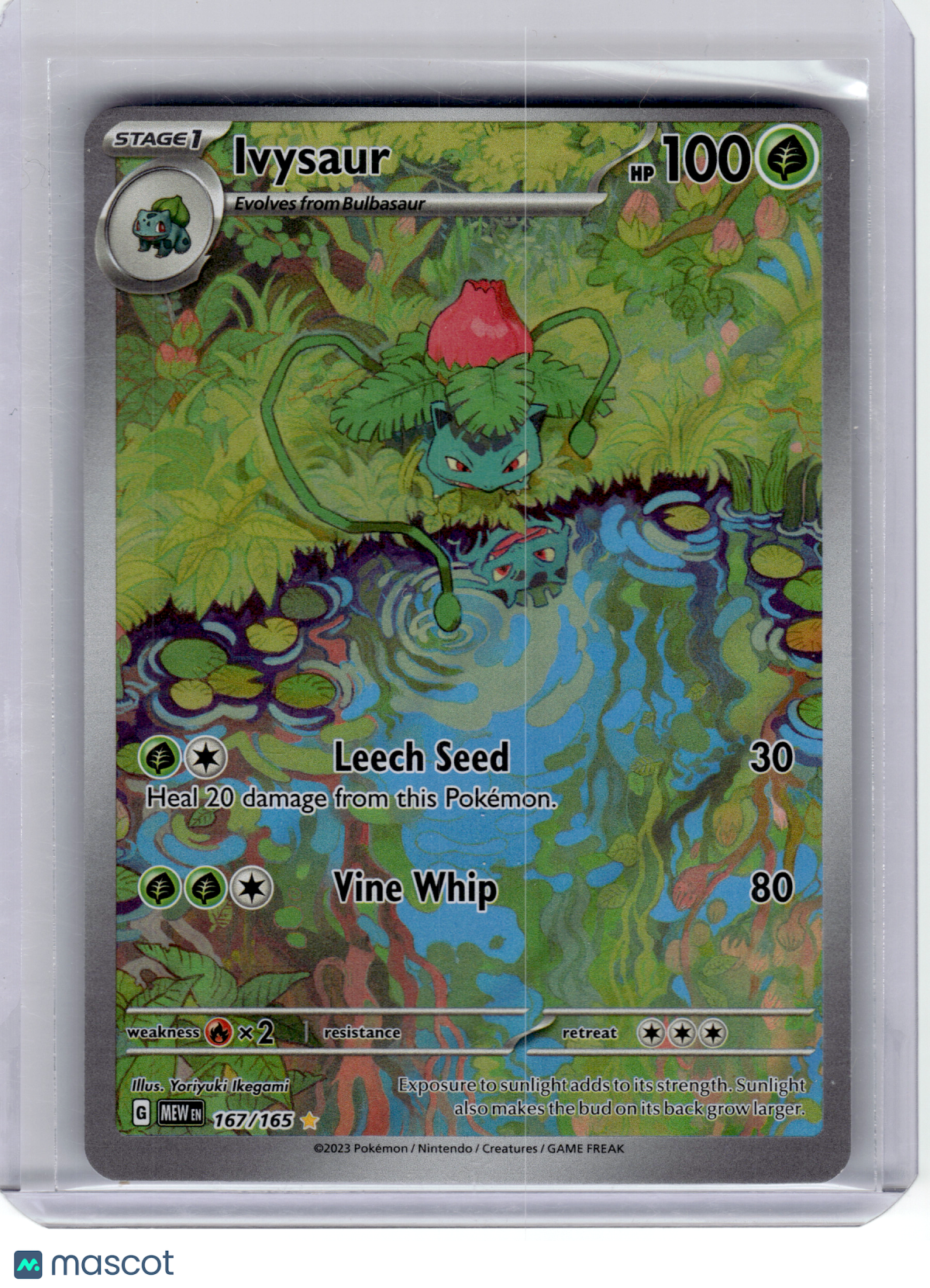 2023 Pokemon—Ivysaur #167 Scarlet & Violet 151—Illustration Rare Holo