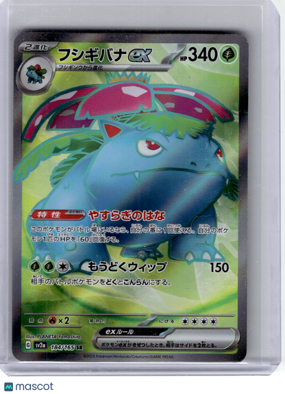 2023 Pokemon—Venusaur EX #184 Sv2a: Pokemon Card 151—Super Rare Holo Japanese