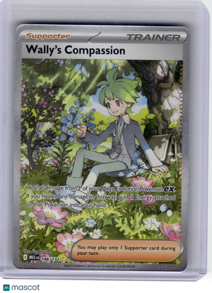 Descriptive image text