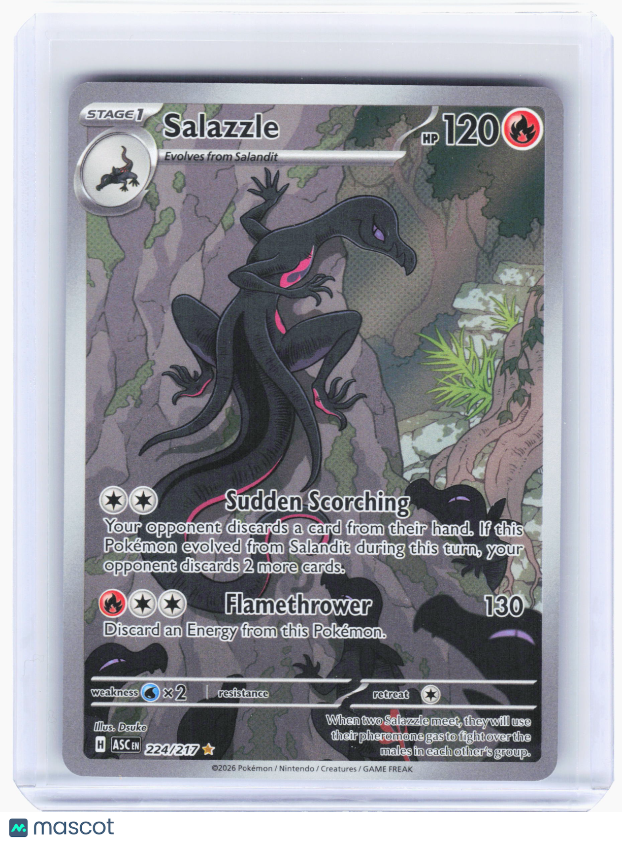 2026 Pokemon—Salazzle #224/217 Ascended Heroes—Illustration Rare Foil