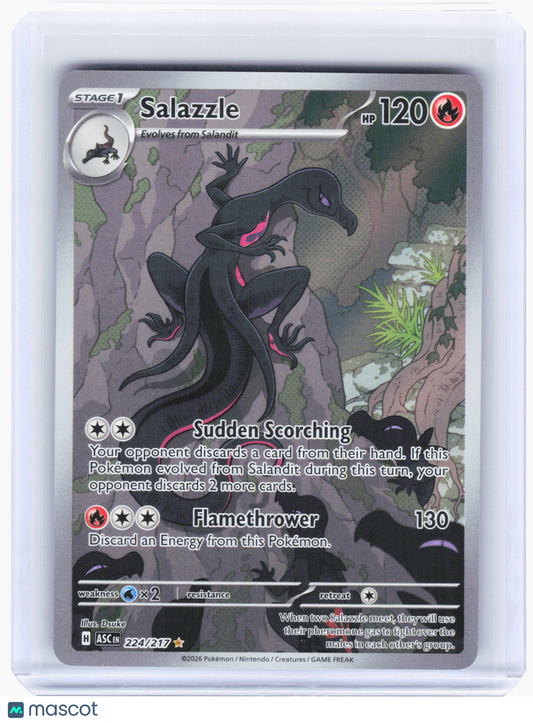 2026 Pokemon—Salazzle #224/217 Ascended Heroes—Illustration Rare Foil