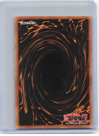 2010 Yu-Gi-Oh! TCG—Blackwing - Bora the Spear #DT03-EN002—DTNPR Foil (HP)