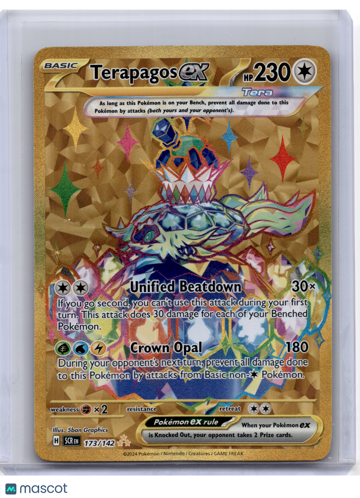 2024 Pokemon—Terapagos ex #173/142 Stellar Crown—Hyper Rare Holo