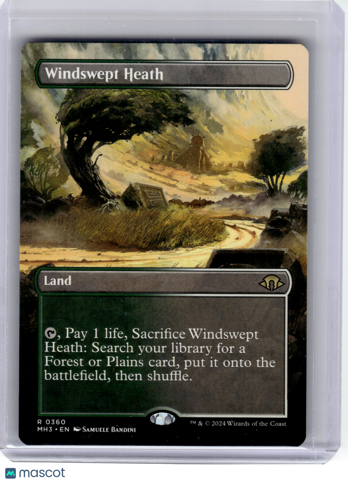 2024 Magic: The Gathering—Windswept Heath #360 Modern Horizons 3—Rare Non-Foil