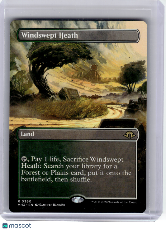 2024 Magic: The Gathering—Windswept Heath #360 Modern Horizons 3—Rare Non-Foil