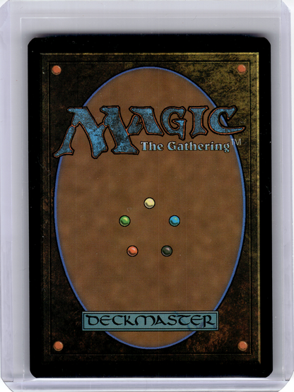2024 Magic: The Gathering—Windswept Heath #360 Modern Horizons 3—Rare Non-Foil