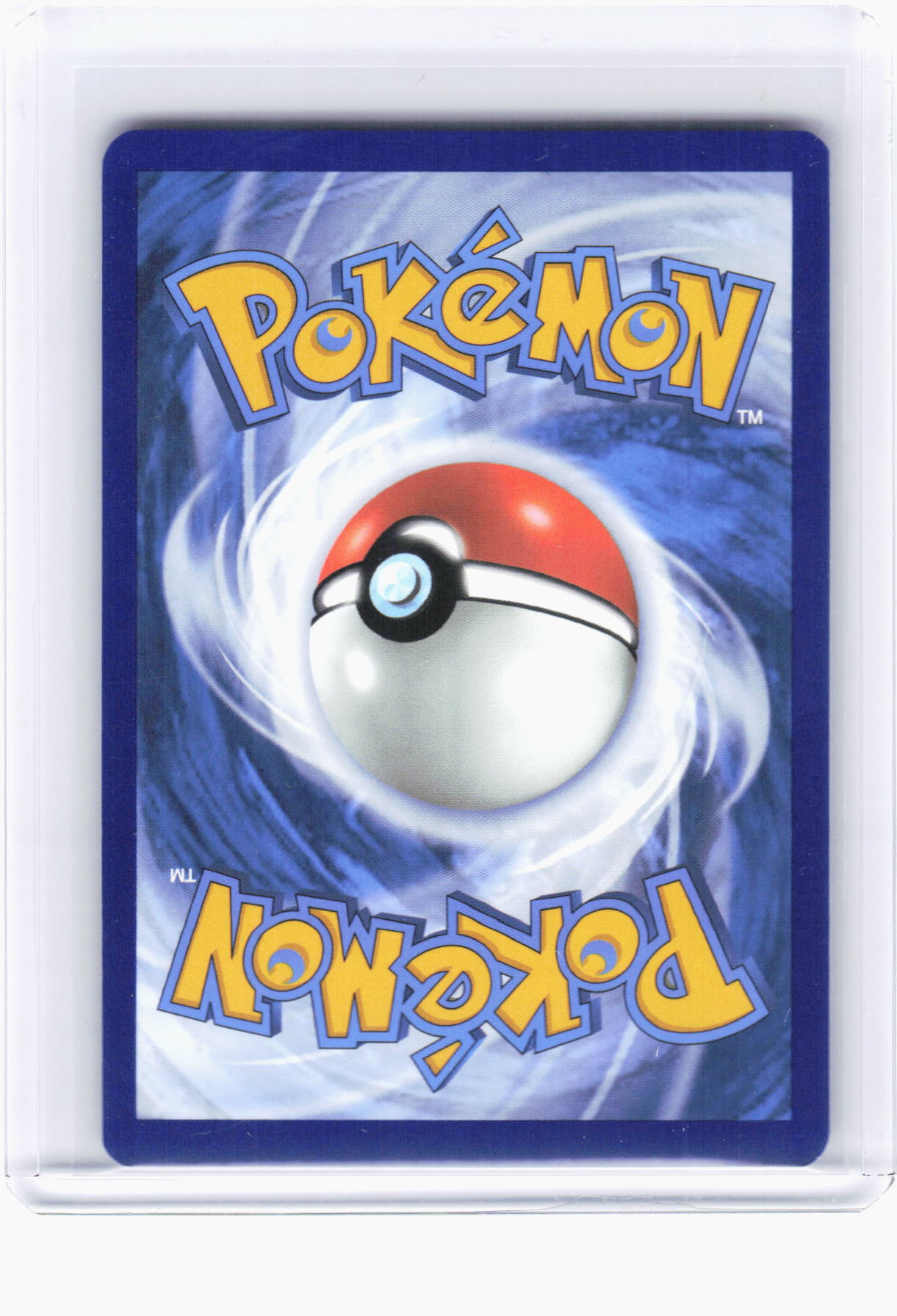 2024 Pokemon—Dachsbun EX #169 Stellar Crown—Special Illustration Rare Holo