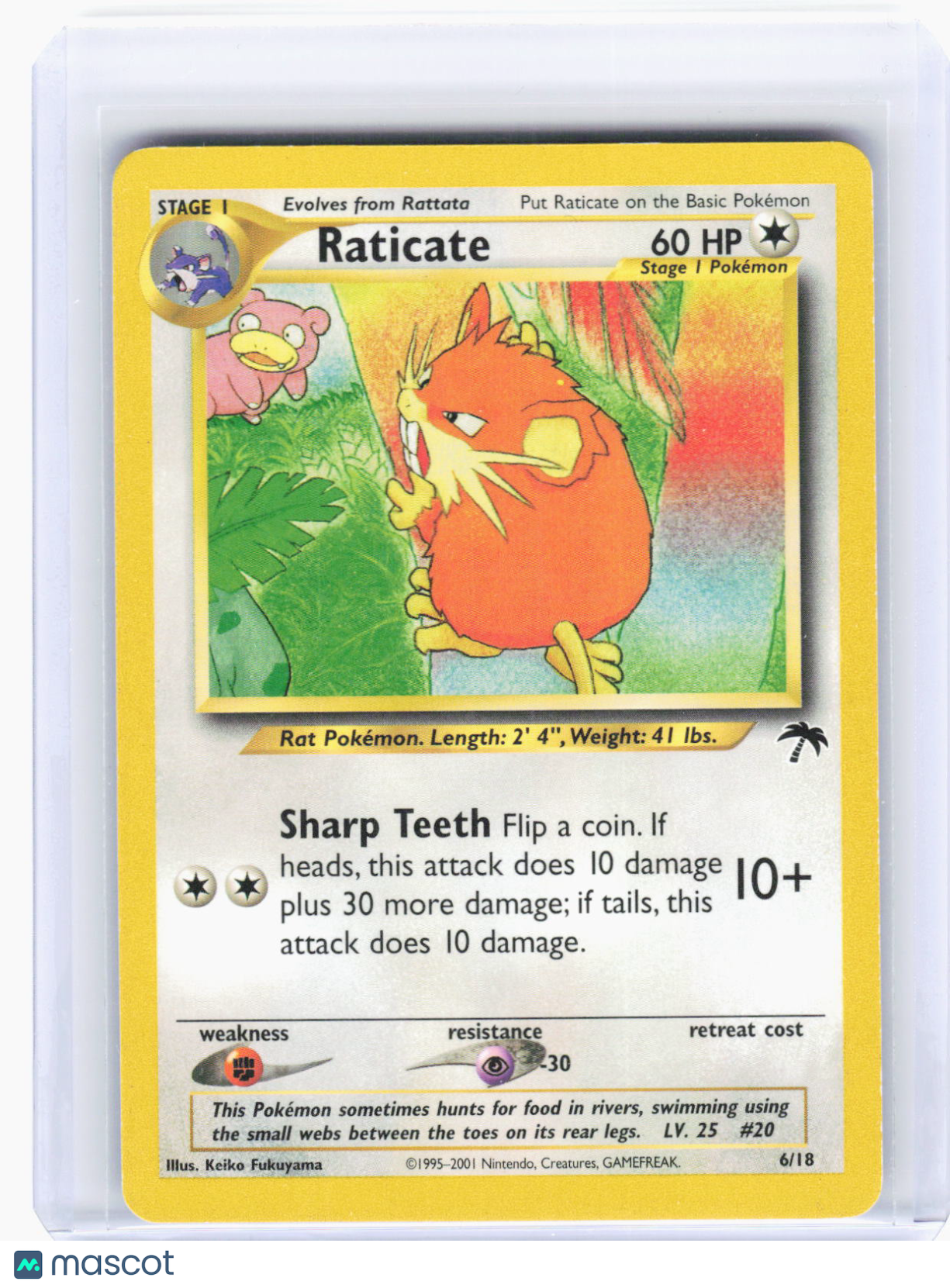 2002 Pokemon—Raticate #6/18 Southern Islands—Promo Non-Foil (Lightly Played)