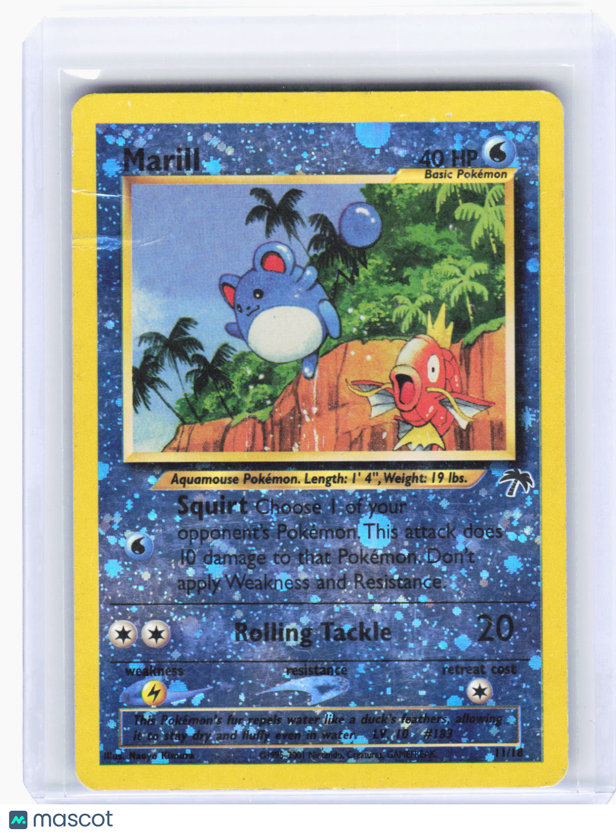 2002 Pokemon—Marill #11/18 Southern Islands—Promo Reverse Holo (Damaged)