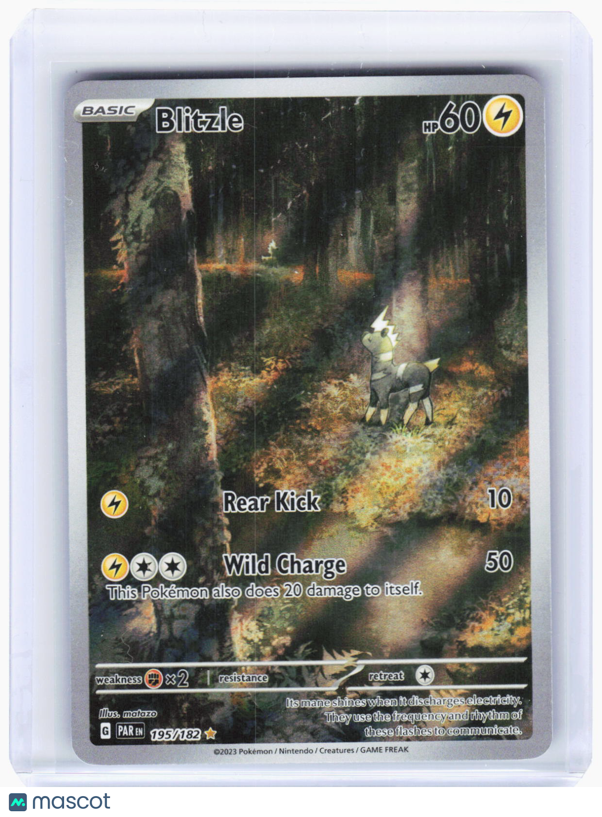 Pokemon—Blitzle #195/182 2023 Paradox Rift—Illustration Rare Foil