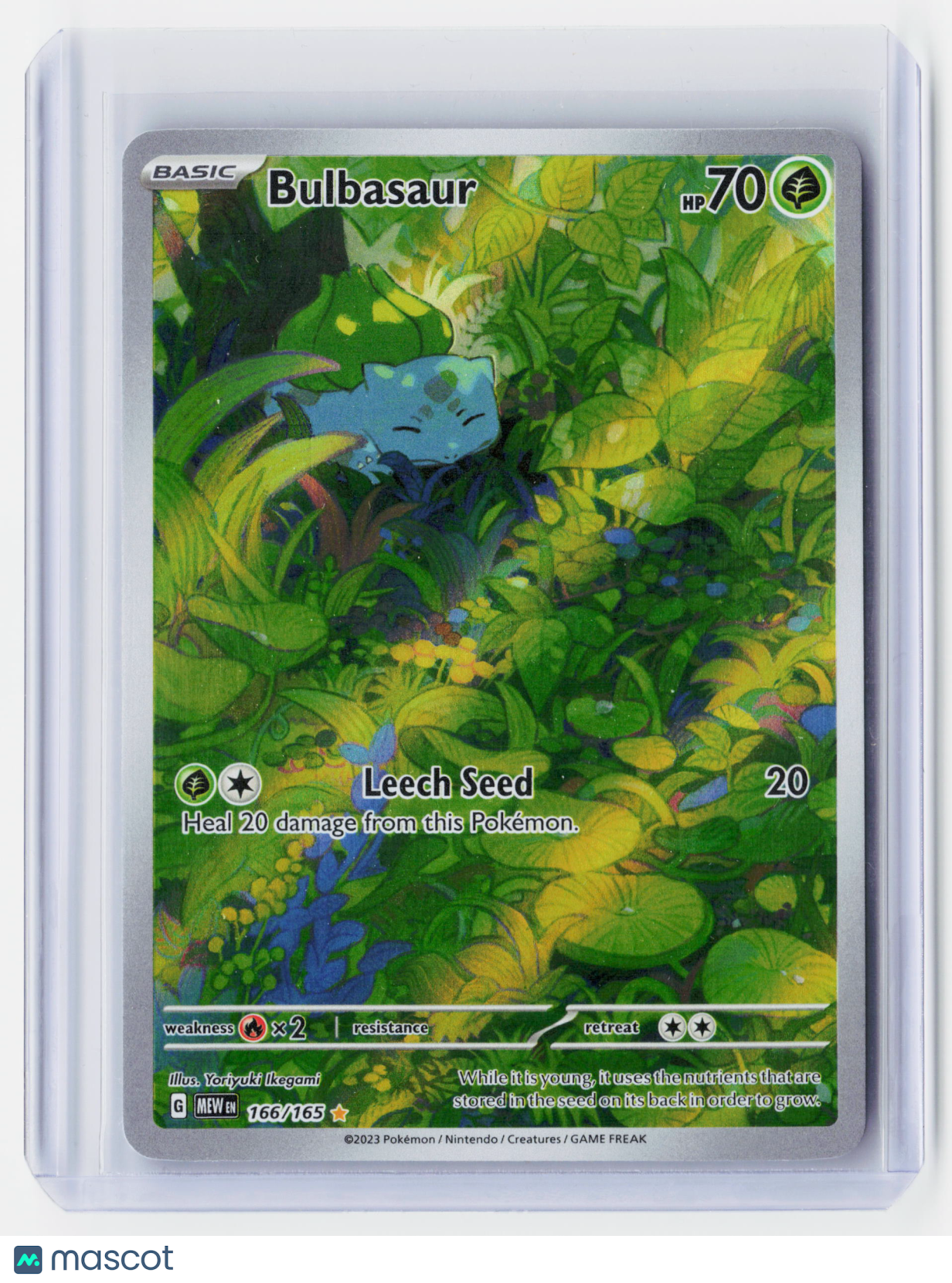 2023 Pokemon—Bulbasaur #166/165 Scarlet & Violet 151—Illustration Rare Holo
