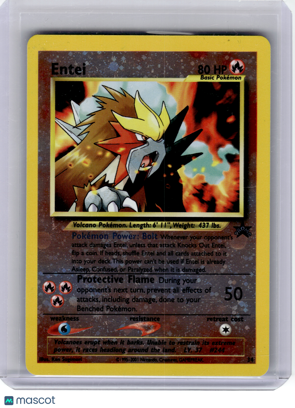 2001 Pokemon—Entei #34 Wizard of the Coast—Black Star Promo Reverse Holo [MP]