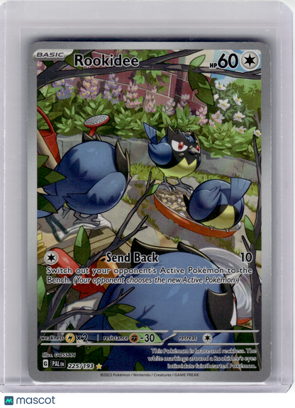 2023 Pokemon—Rookidee #225 Paldea Evolved—Illustration Rare Holo