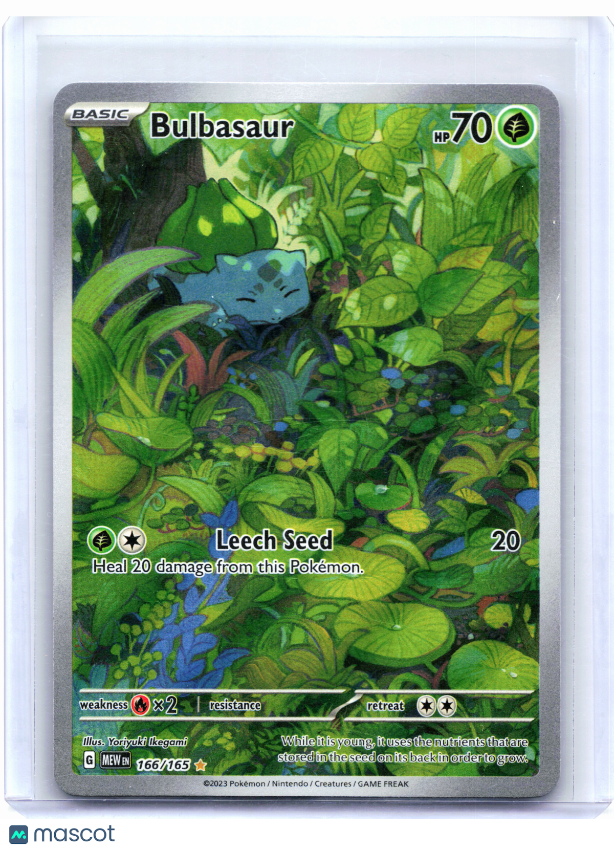 2023 Pokemon—Bulbasaur #166/165 Scarlet & Violet 151—Illustration Rare Holo [LP]
