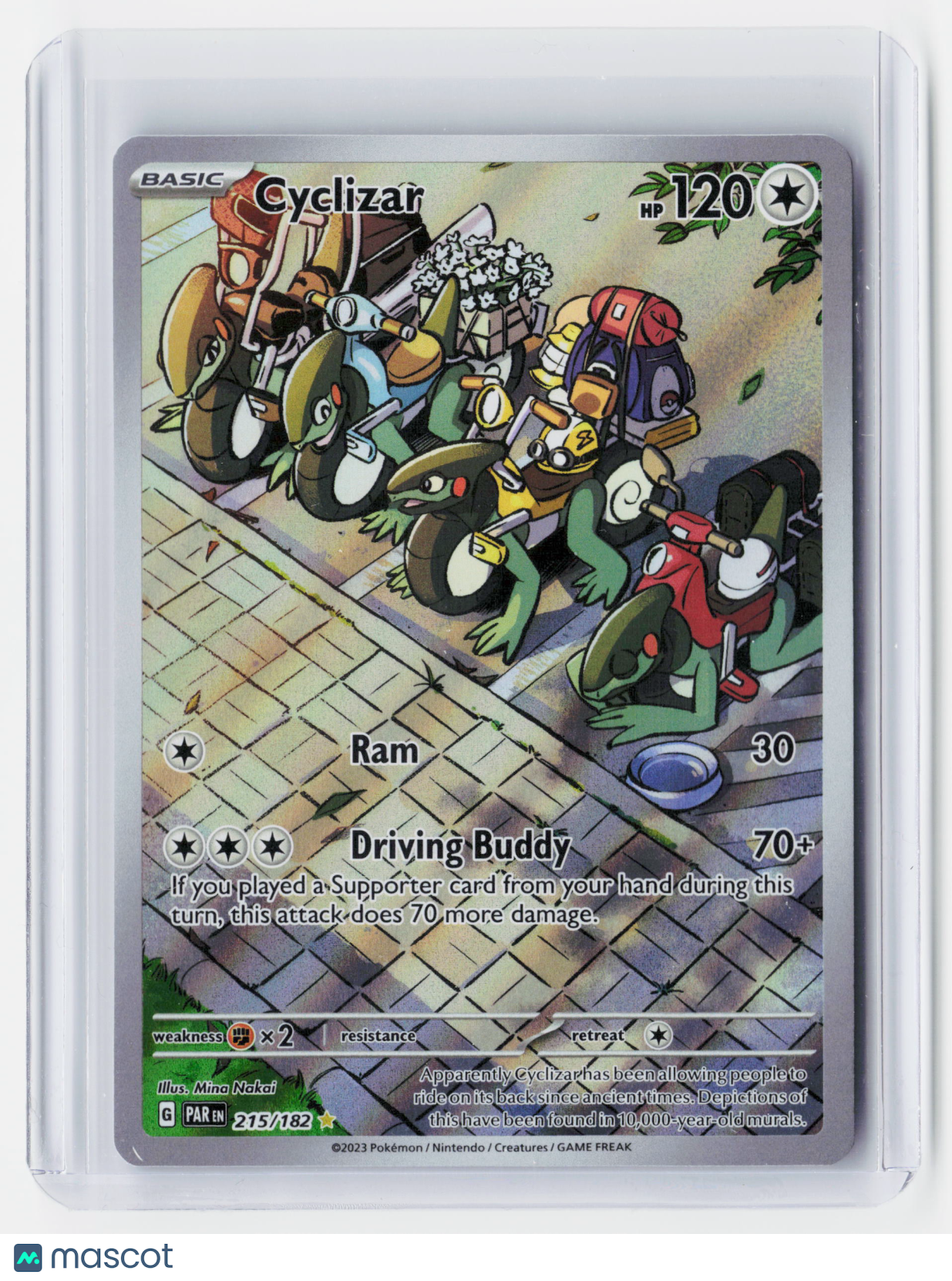 2023 Pokemon—Cyclizar #215/182 Paradox Rift—Illustration Rare Foil