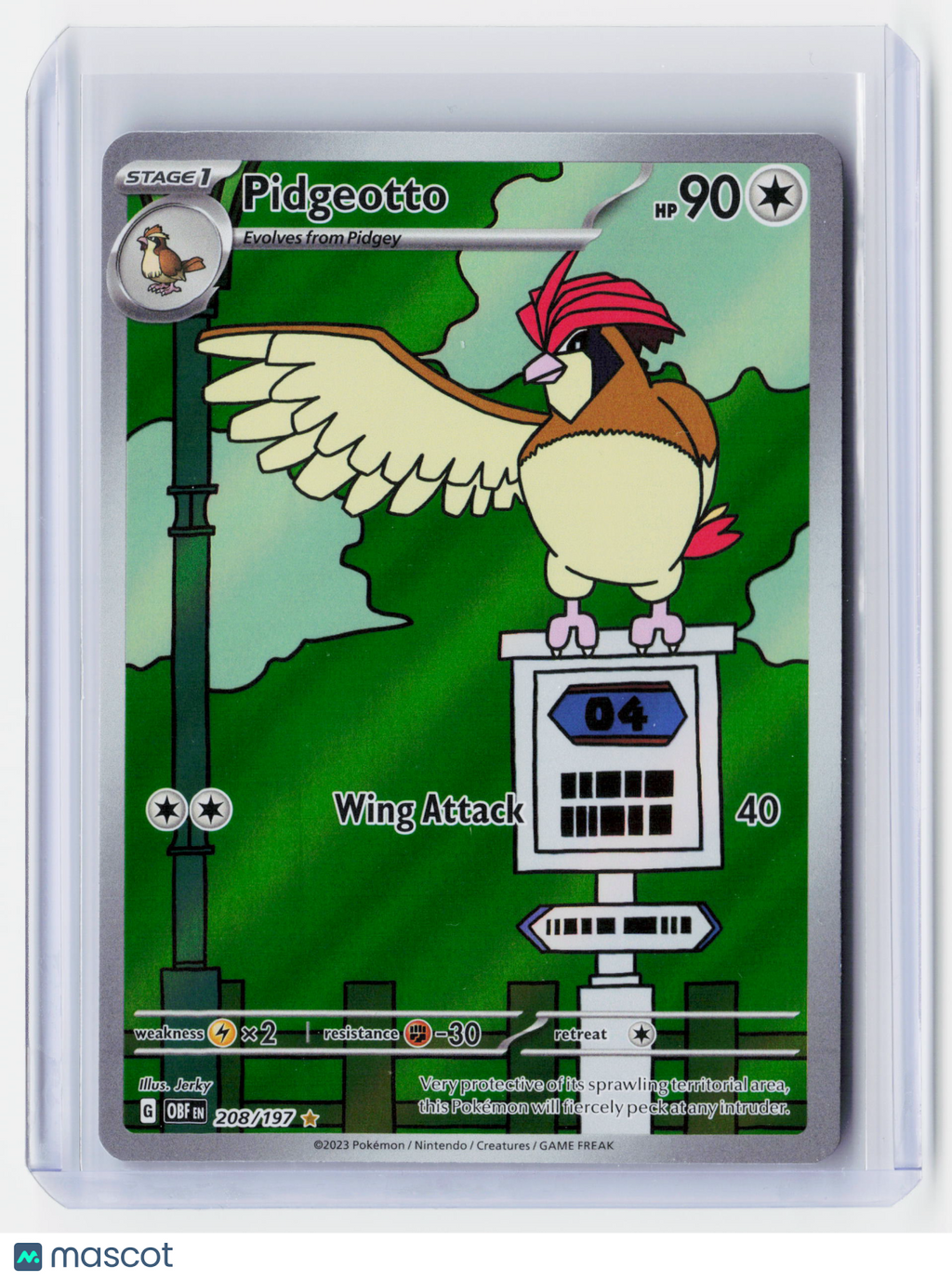 2023 Pokemon—Pidgeotto #208/197 Obsidian Flames—Illustration Rare Foil