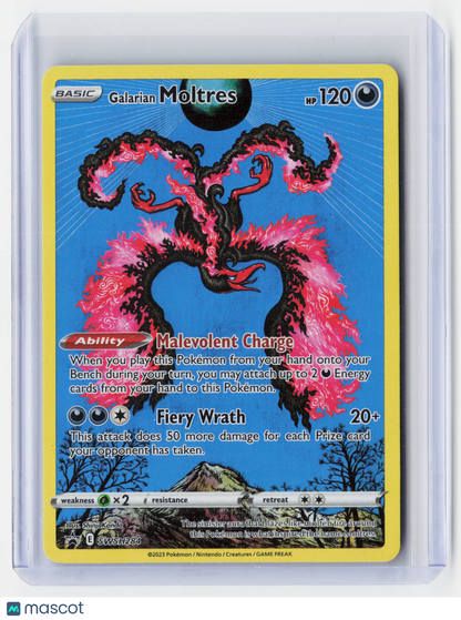 2023 Pokemon—Galarian Moltres #SWSH284 Crown Zenith—Black Star Promo Holo