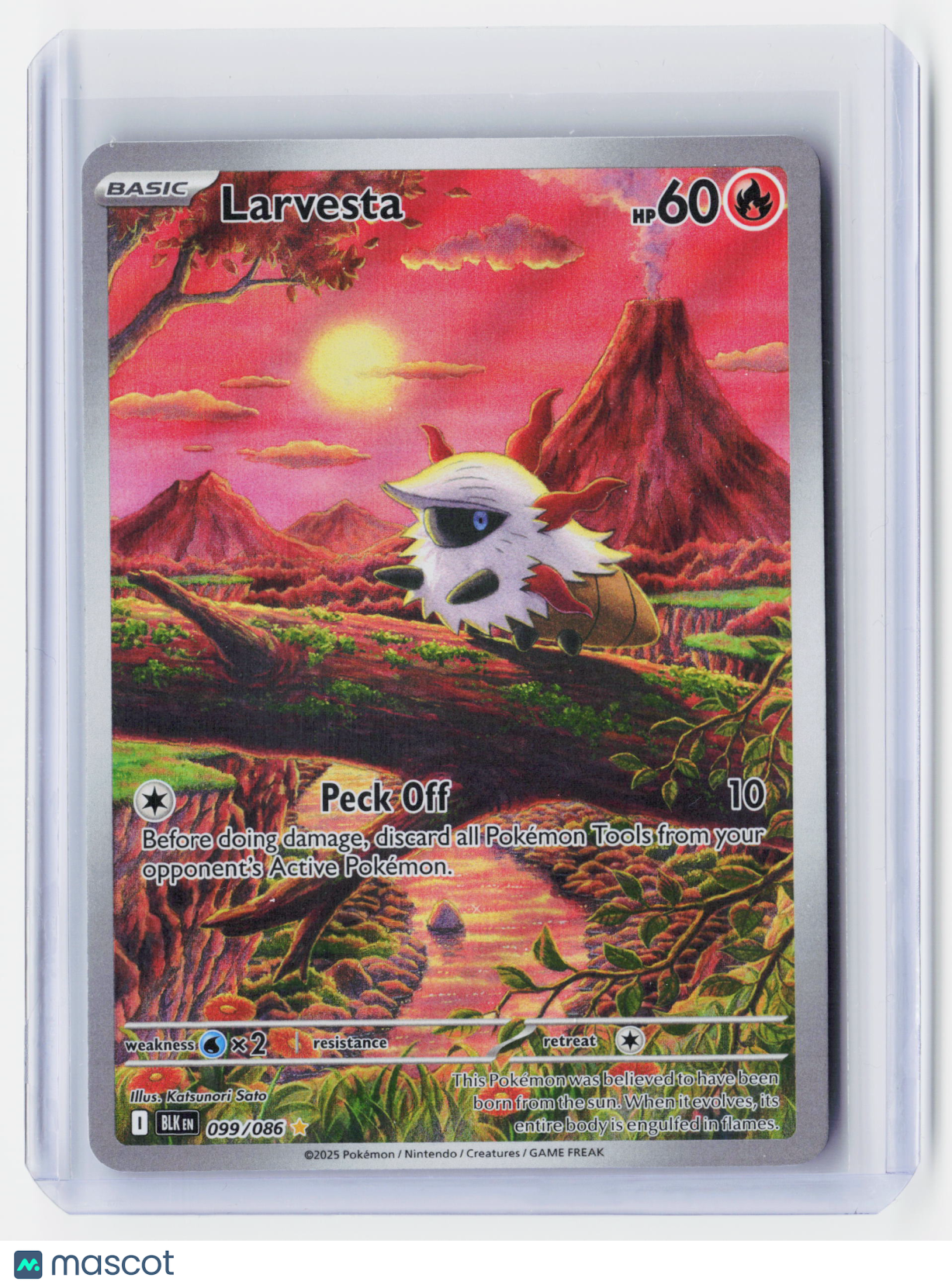 2025 Pokemon—Larvesta #99/86 Scarlet & Violet Black Bolt—Secret Rare Holo