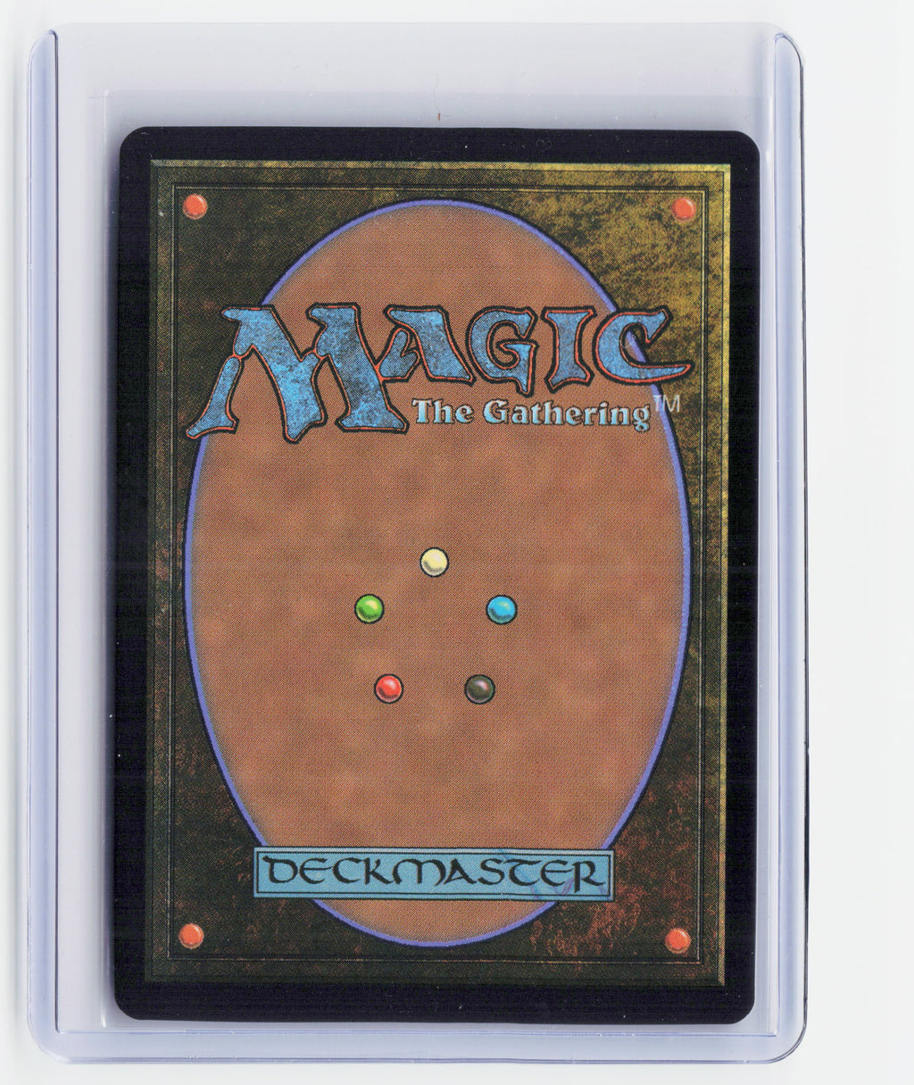 2025 Magic: The Gathering—Paradise Chocobo (Borderless) #0483 (FIC)—Promo Foil