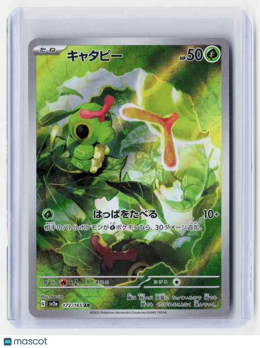 2023 Pokemon—Caterpie #172/165 Scarlet & Violet 151—Holo Japanese