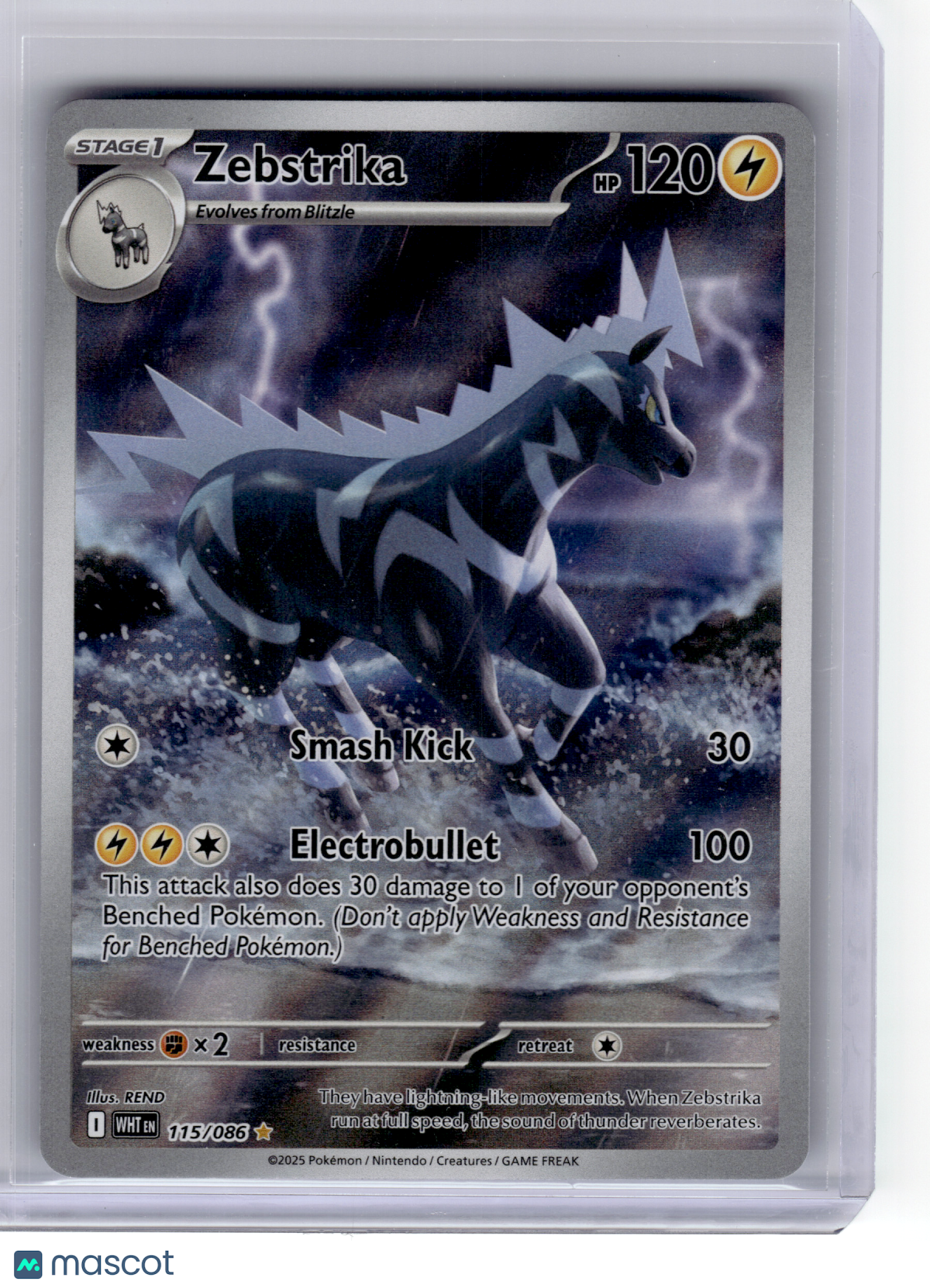 2025 Pokemon—Zebstrika #115 White Flare—Illustration Rare Holo