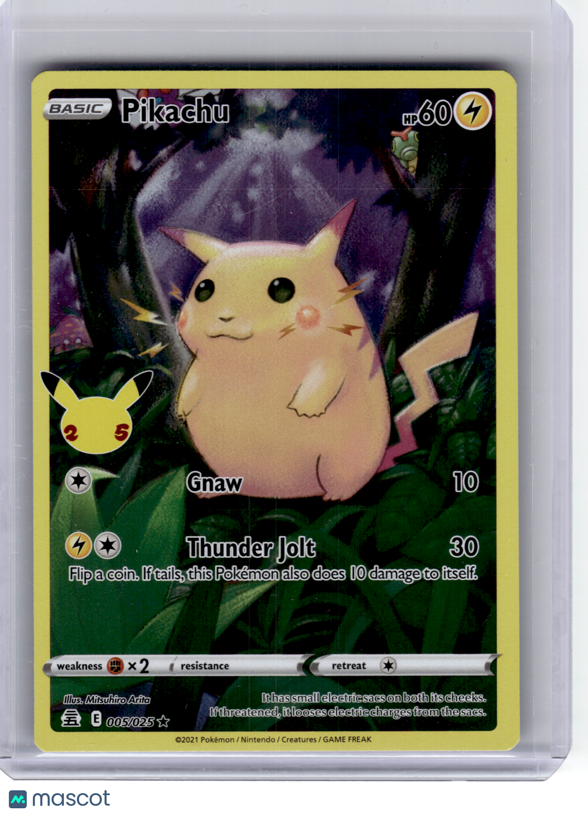 2021 PokemonPikachu #5 CelebrationsRare Holo Papa Joey's Collectibles 2021 PokemonPikachu #5 CelebrationsRare Holo Papa Joey's Collectibles