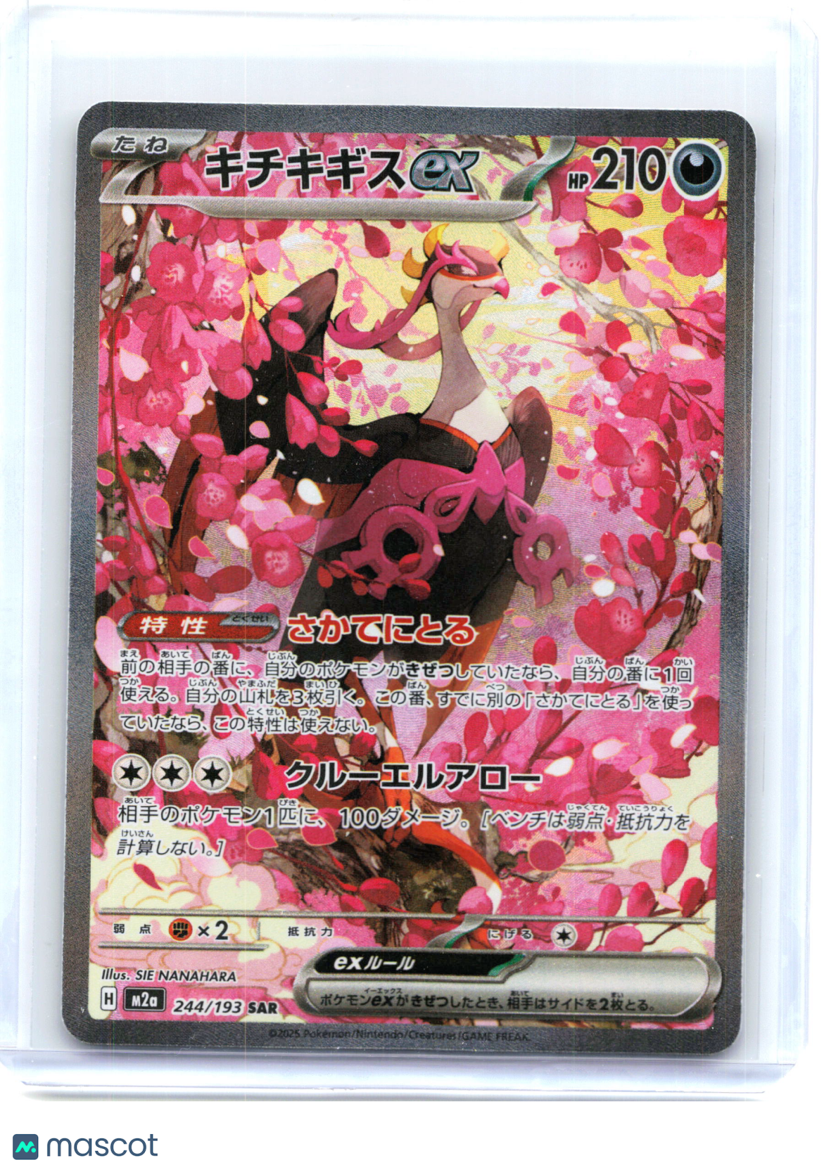 2024 Pokemon—Fezandipiti EX 244/193 MEGA Dream ex—Special Art Rare Holo Japanese