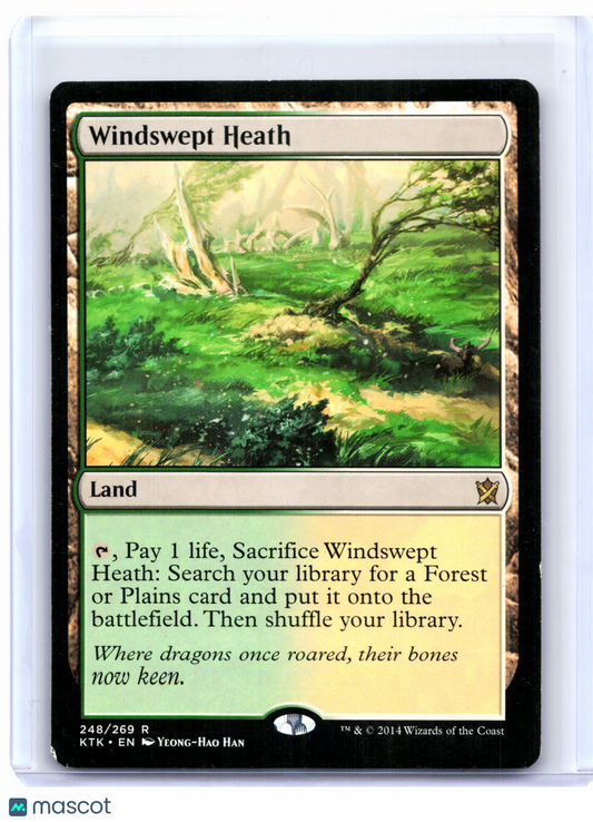 2014 Magic: TG—Windswept Heath #248 Khans of Tarkir—Rare Nonfoil [Damaged]