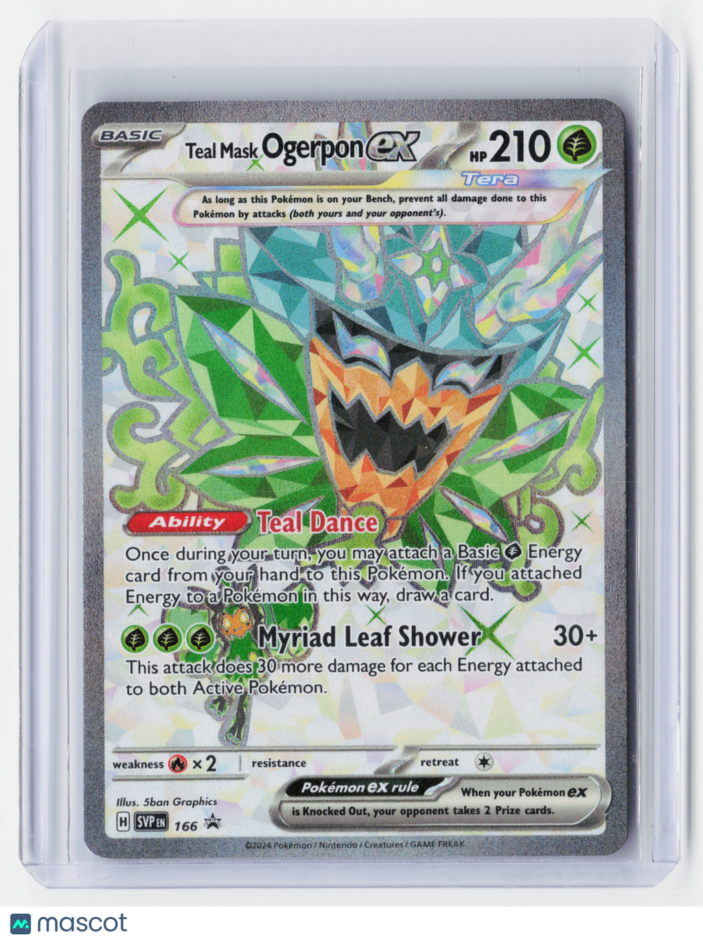 2024 Pokemon—Teal Mask Ogerpon ex #166 Scarlet & Violet Promos—Holo