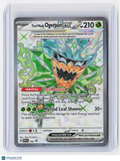 2024 Pokemon—Teal Mask Ogerpon ex #166 Scarlet & Violet Promos—Holo