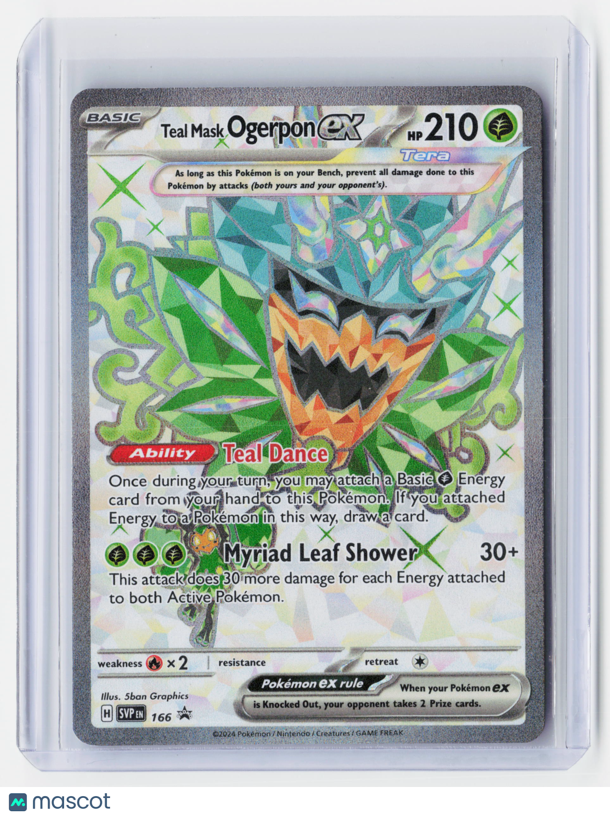 2024 Pokemon—Teal Mask Ogerpon ex #166 Scarlet & Violet Promos—Holo