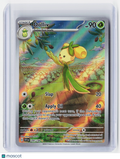 2023 Pokemon—Dolliv #200/198 Scarlet & Violet Base Set—Illustration Rare Foil