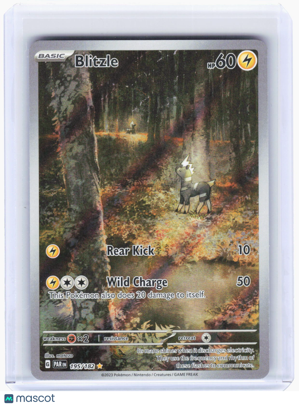 2023 Pokemon—Blitzle #195/182 Paradox Rift—Illustration Rare Foil