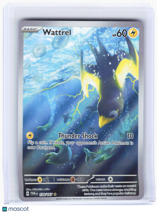 2024 Pokemon—Wattrel #178/167 Twilight Masquerade—Illustration Rare Foil
