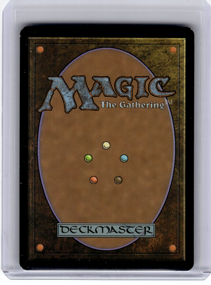 2008 Magic: The Gathering—Wooded Bastion #281 Shadowmoor—Rare [MP]
