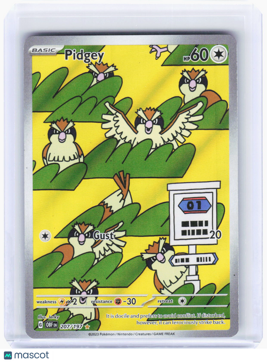 2023 Pokemon—Pidgey #207/197 Obsidian Flames—Illustration Rare Foil
