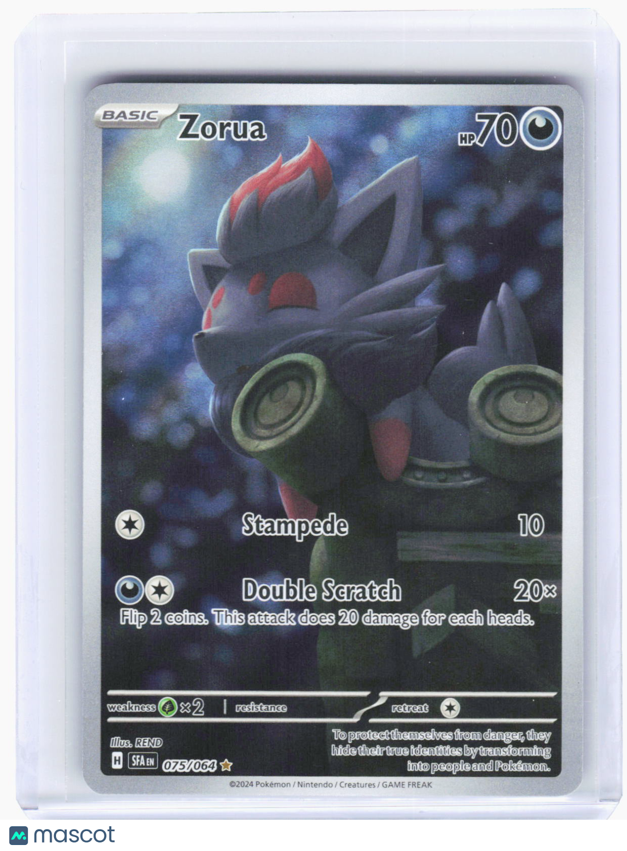 2024 Pokemon—Zorua #75/64 Shrouded Fable—Illustration Rare Foil