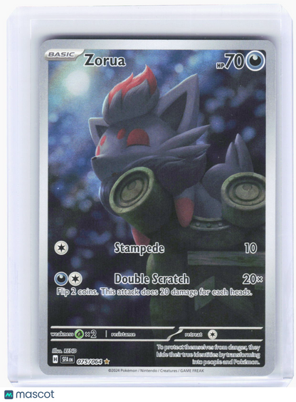 2024 Pokemon—Zorua #75/64 Shrouded Fable—Illustration Rare Foil