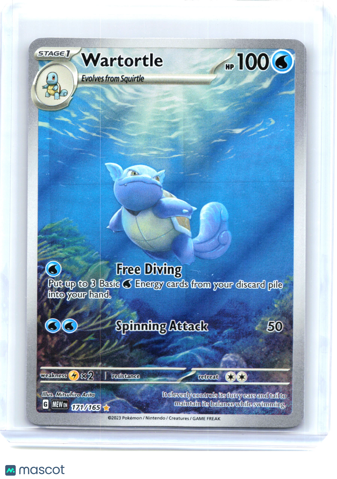 2023 Pokemon—Wartortle #171/165 Scarlet & Violet 151—Illustration Rare [MP]