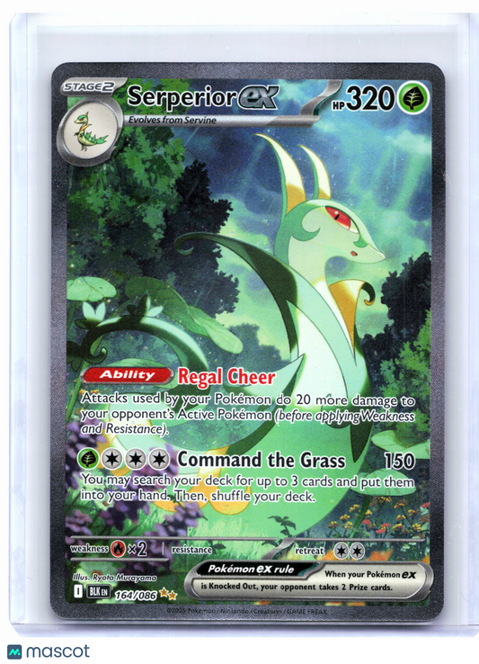 2025 Pokemon—Serperior ex #164/086 Black Bolt—Special Illustration Rare Holo