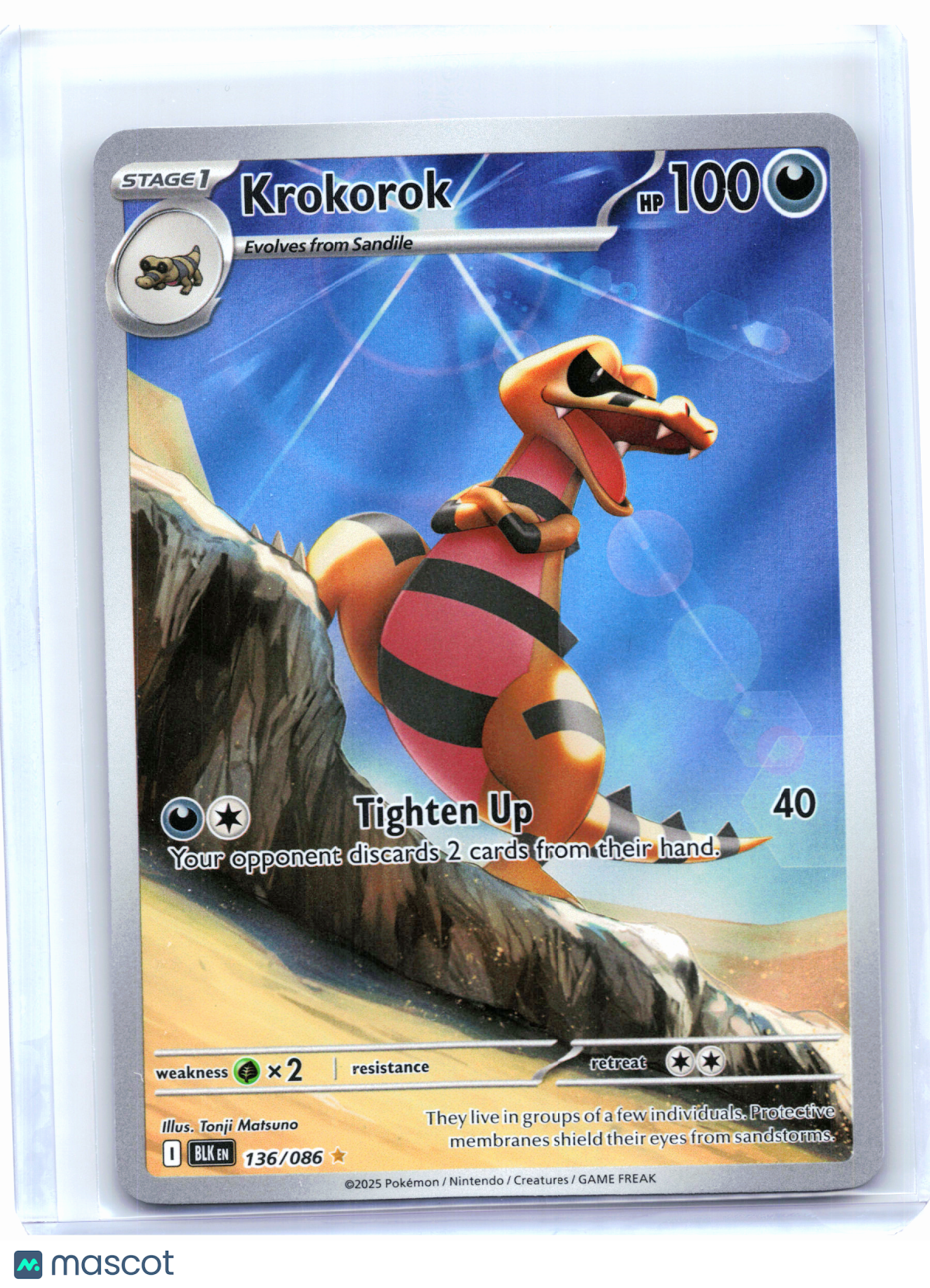 2025 Pokemon—Krokorok #136 Black Bolt—Illustration Rare Holo