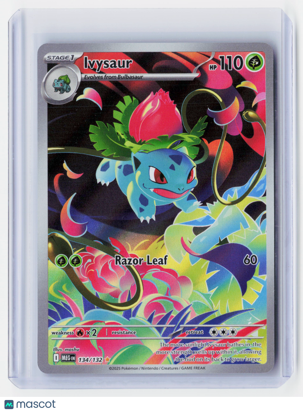 2025 Pokemon—Ivysaur #134/132 Mega Evolution—Illustration Rare Holo