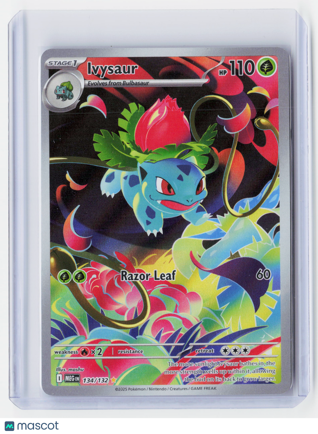 2025 Pokemon—Ivysaur #134/132 Mega Evolution Base Set—Illustration Rare Holo