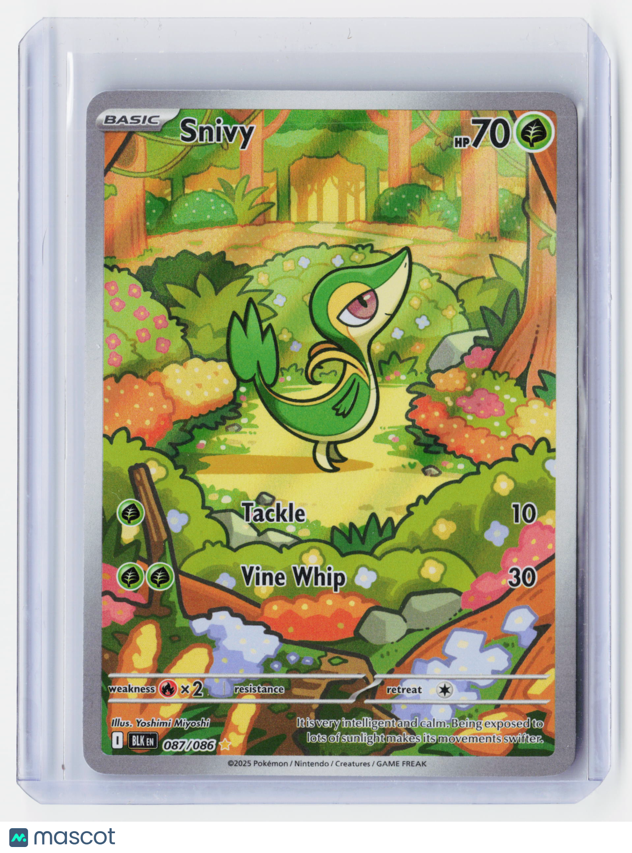 2025 Pokemon—Snivy #87/86 Black Bolt—Illustration Rare Holo