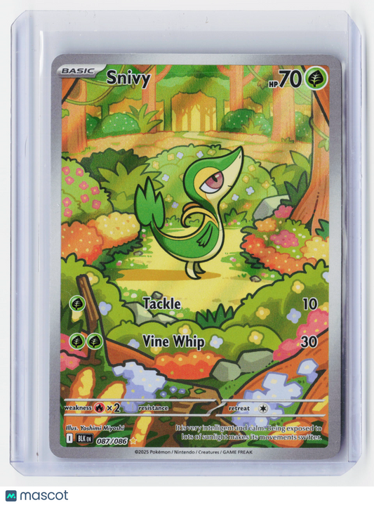 2025 Pokemon—Snivy #87/86 Black Bolt—Illustration Rare Holo