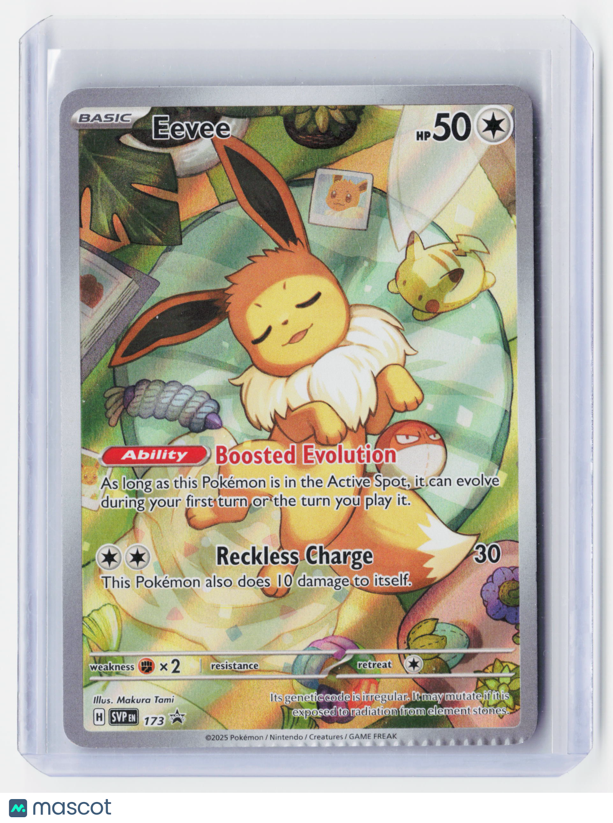 2025 Pokemon—Eevee #SVP EN 173 Scarlet & Violet—Black Star Promo Holo (Damaged)