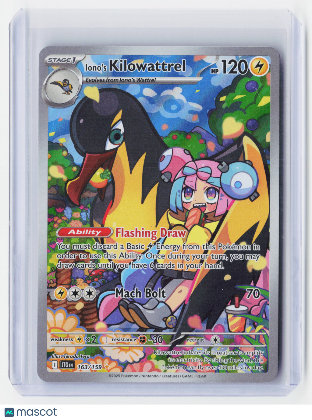 2025 Pokemon—Iono's Kilowattrel #163/159 Journey Together—Illustration Rare Foil