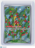 2025 Pokemon—Shuckle #136/132 Mega Evolution Base Set—Illustration Rare Foil